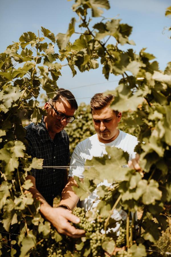 Ratsch an der Weinstraße Kultur Weingut Kaestenburg المظهر الخارجي الصورة